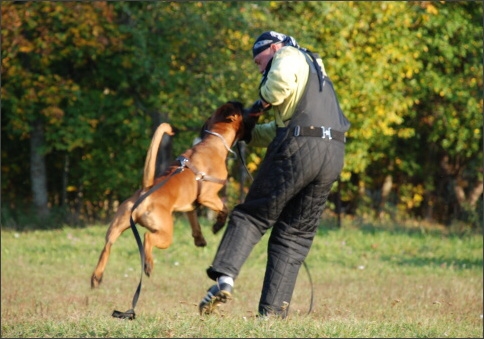 Training in Estonia 9/2007